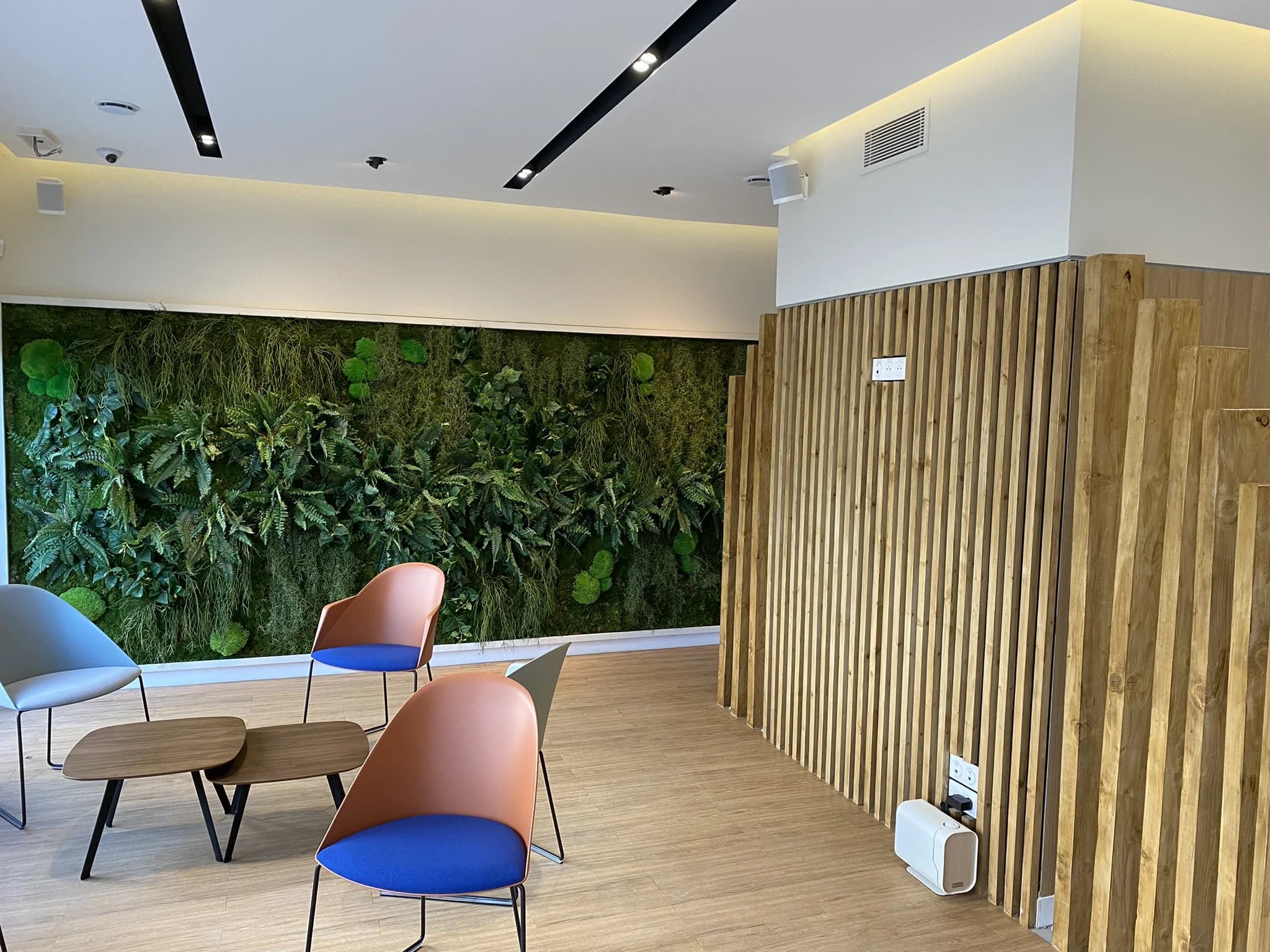 Le salon d’attente et son mur végétal — Trets